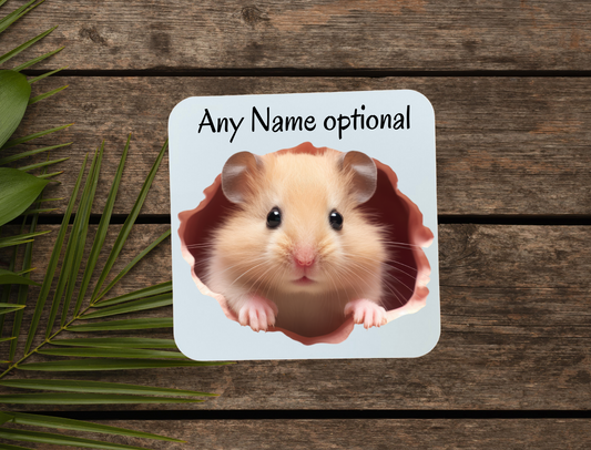 Hamster coaster that can be personalised.